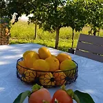 Villa Zagrljaj Prirode